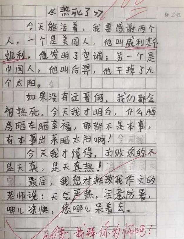 小学生我的理想作文100个字以上,小学作文我的理想作文评语