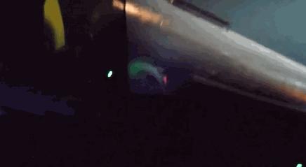 独角秀探展,独角秀现场直击