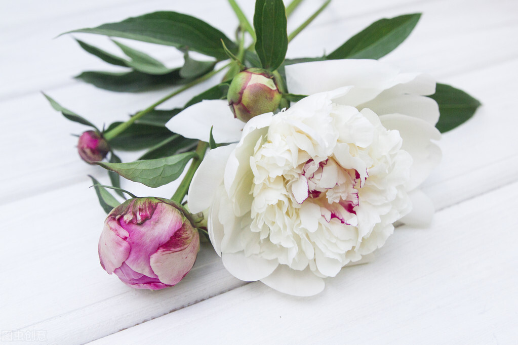 适合春夏的木质香水,中年男士春夏用的香水