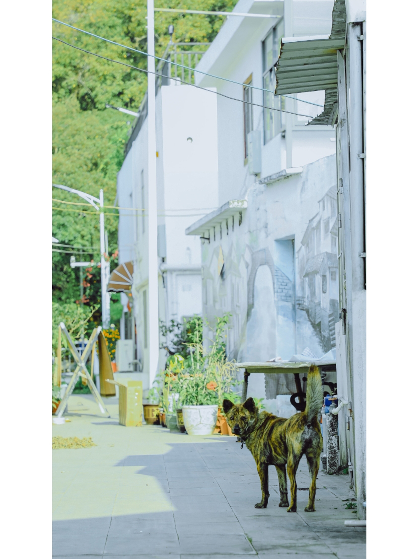 深圳皇岗拍照,深圳湾红树林公园拍照姿势