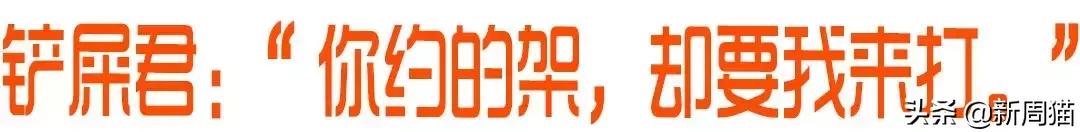 最近很火的一只猫的表情包,用了仓鼠猫表情包的人