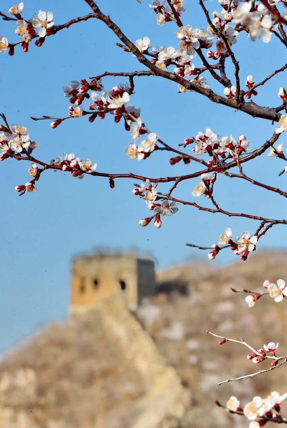 又是一年春光好完整版,又是一年春光好文明旅游