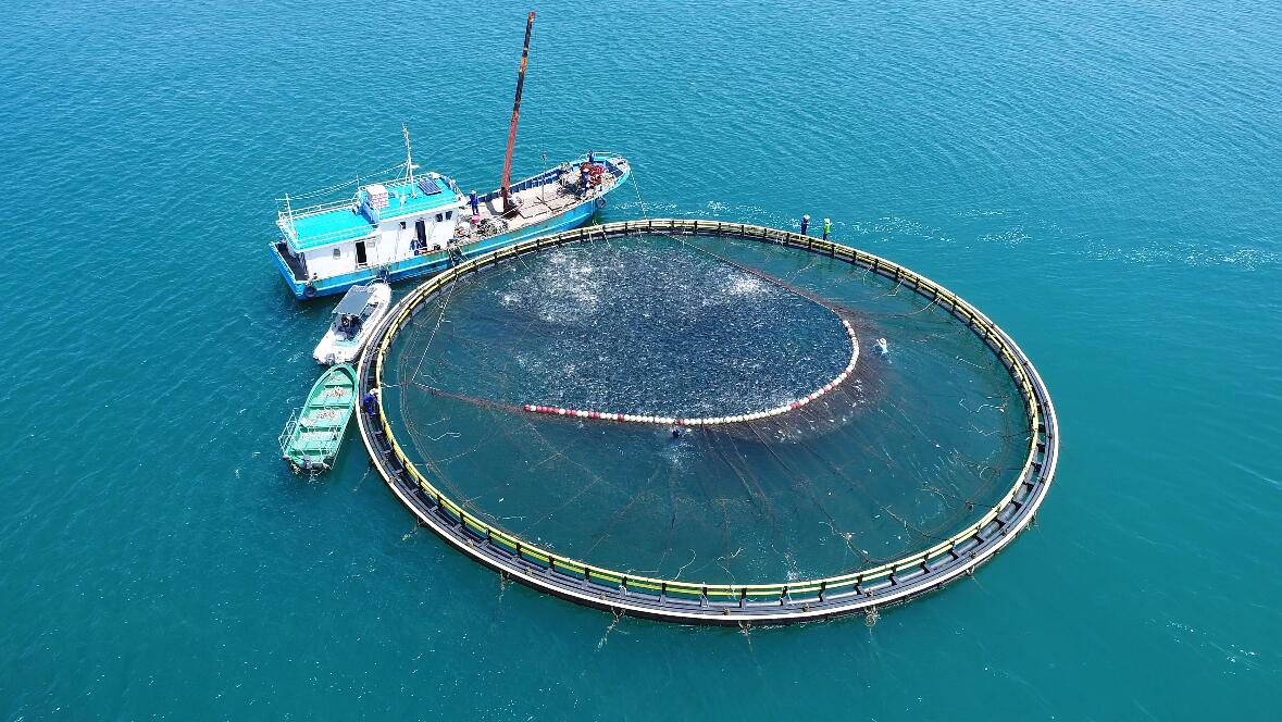 鱿鱼丝当零食有什么坏处,干鱿鱼丝可以当零食吃吗