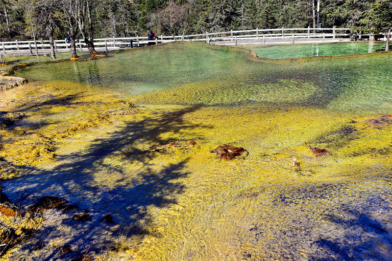 置身于童话中的九寨沟,畅游人间仙境黄龙九寨沟七日游