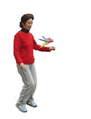 踢毽子的历史与由来,踢毽子什么时候开始的