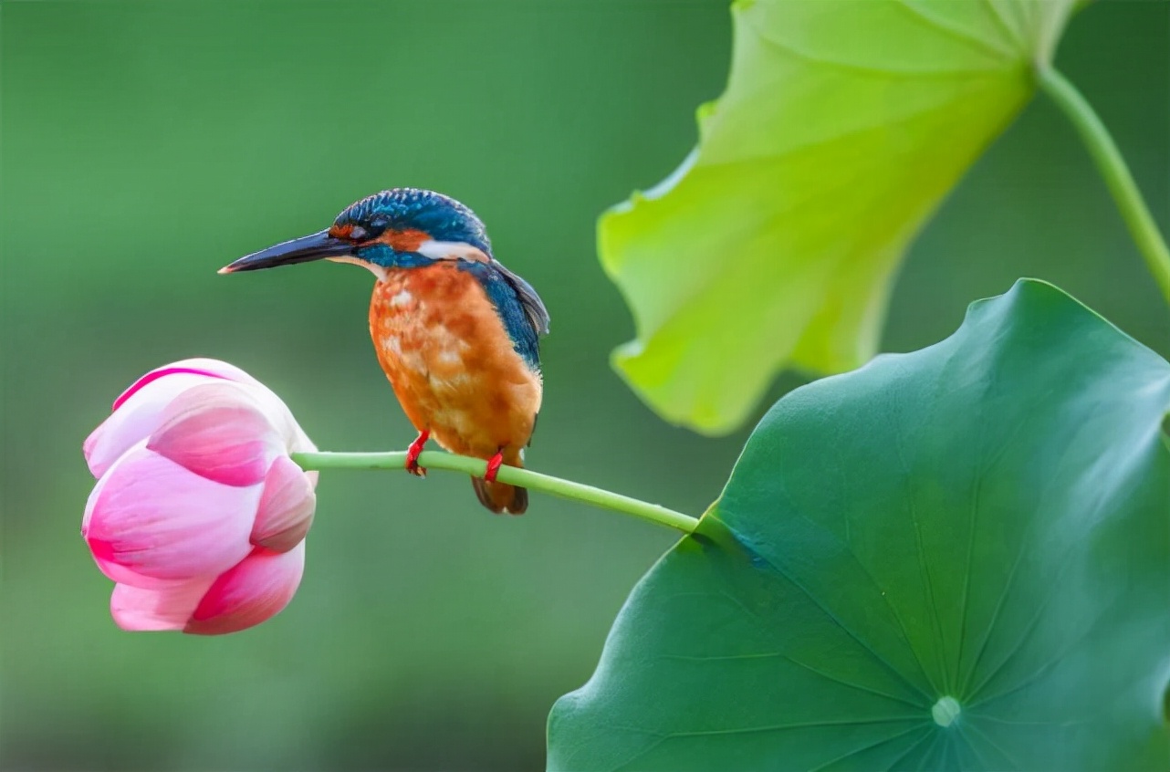 北京石油化工学院哪些专业吃香,北京石油化工学院哪个专业有前途