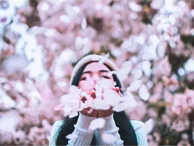 你不知道的手机拍照功能,春天的视频拍摄教程不拍花