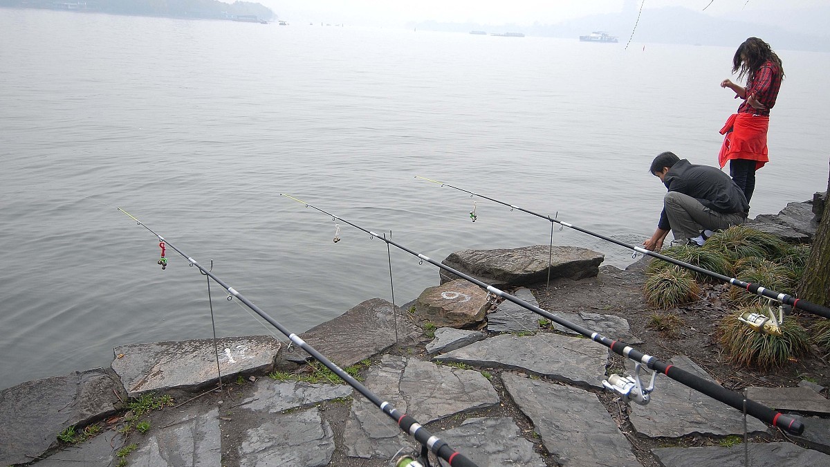 钓鱼人注意了,这六种垂钓行为,四种用饵被纳入监管,禁止使用!