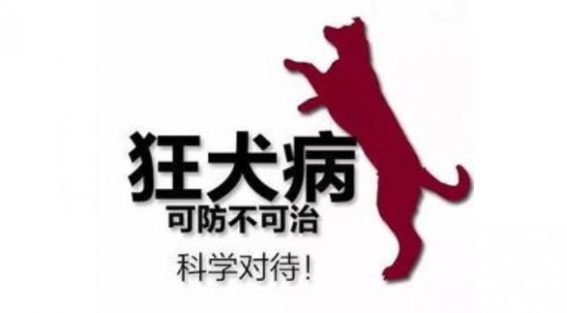 动物咬伤要及时就医,有关动物咬伤的急救知识