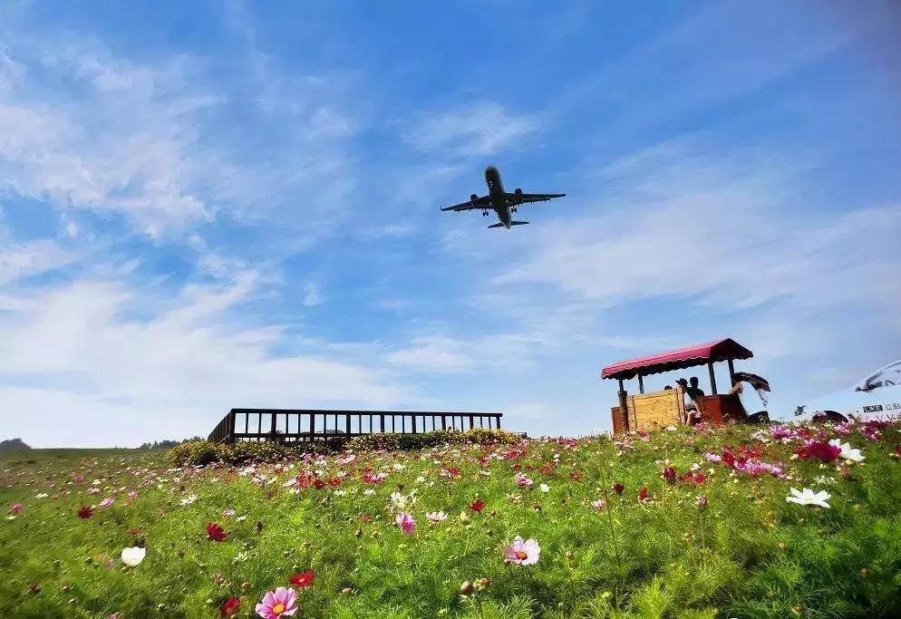 双流机场未来的发展,双流机场曾经的辉煌