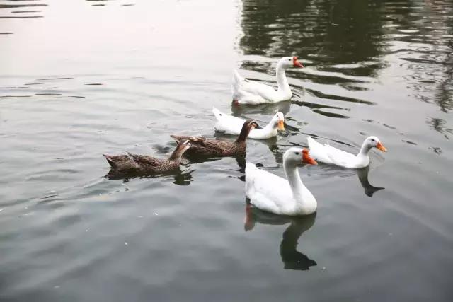 西法大青春力量,西法大