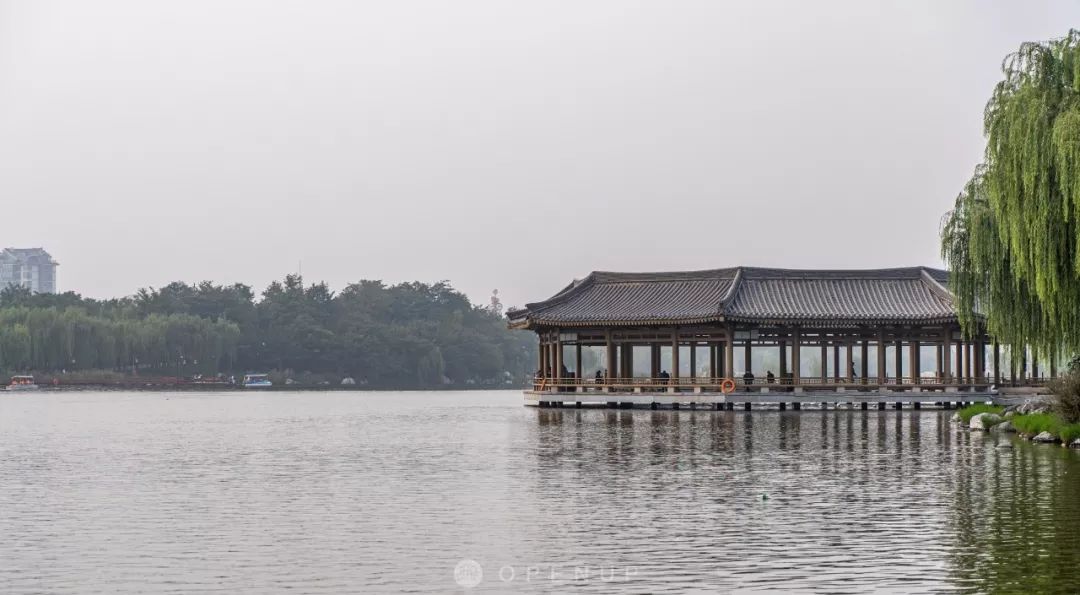 对西安有独特的情怀,热爱西安这座城市