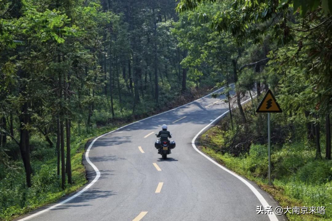 2020江苏省最美乡村道路评选结果,中国十大美丽乡村南京