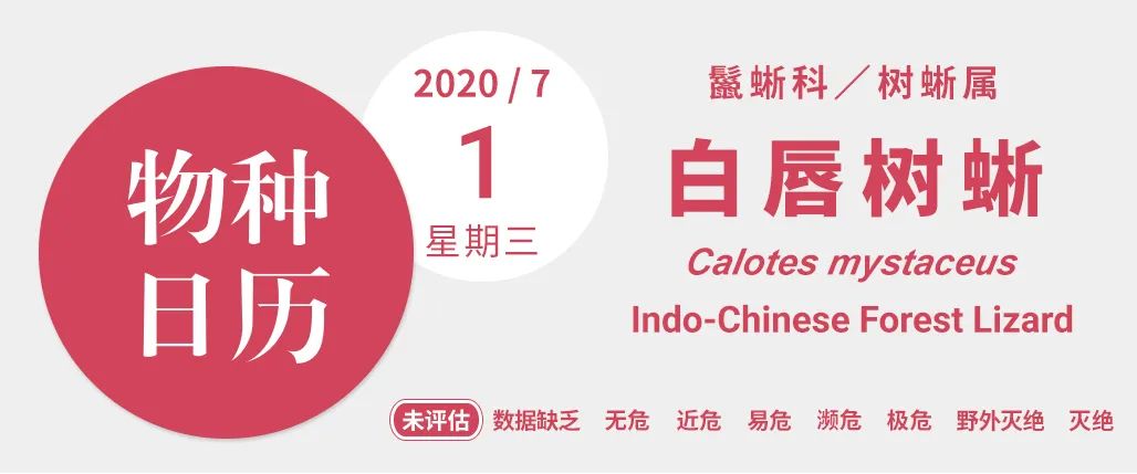 它是蓝颜祸水还是蓝颜薄命,都与你我有关