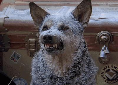 良心教程教你优雅时尚地穿秋裤,秋裤一定是土气还可以保暖显身材