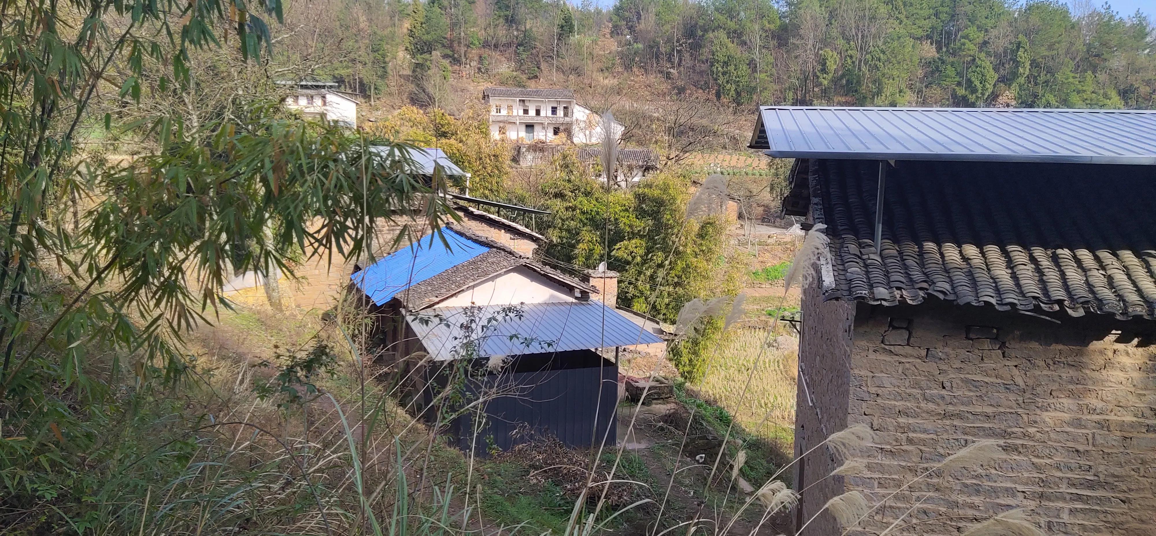 登高感想100字以上,初九登高