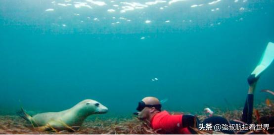 去南澳州旅游怎么样,去南澳旅游要不要做攻略