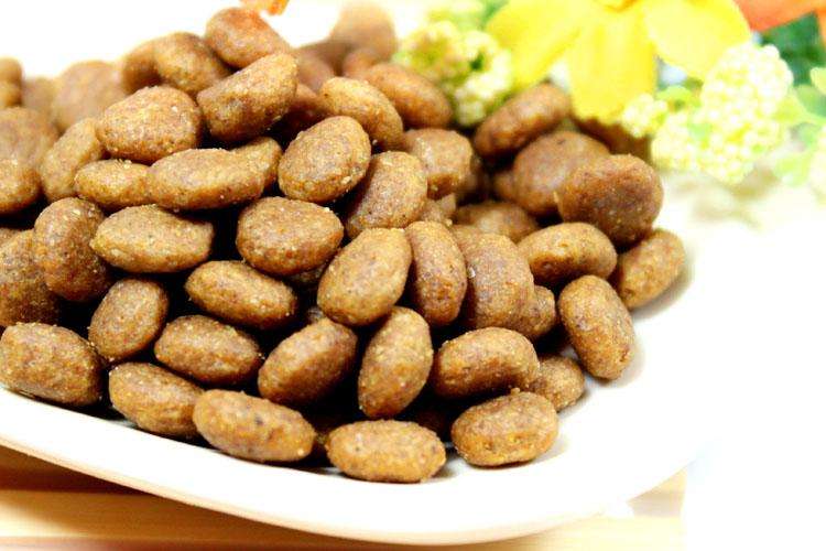 狗狗经常吃完饭吐出来,狗狗经常吃了饭喝了水吐