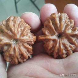 核老二精品文玩核桃,文玩核桃核要不要刷油