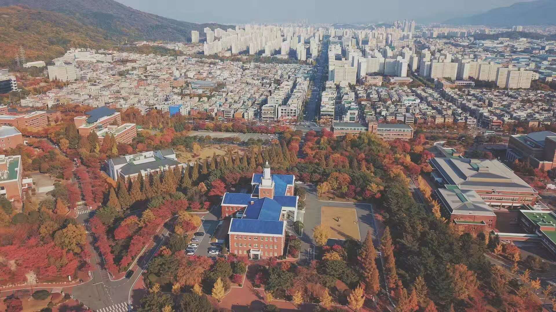 启明大学校园介绍,启明大学是国际学校吗