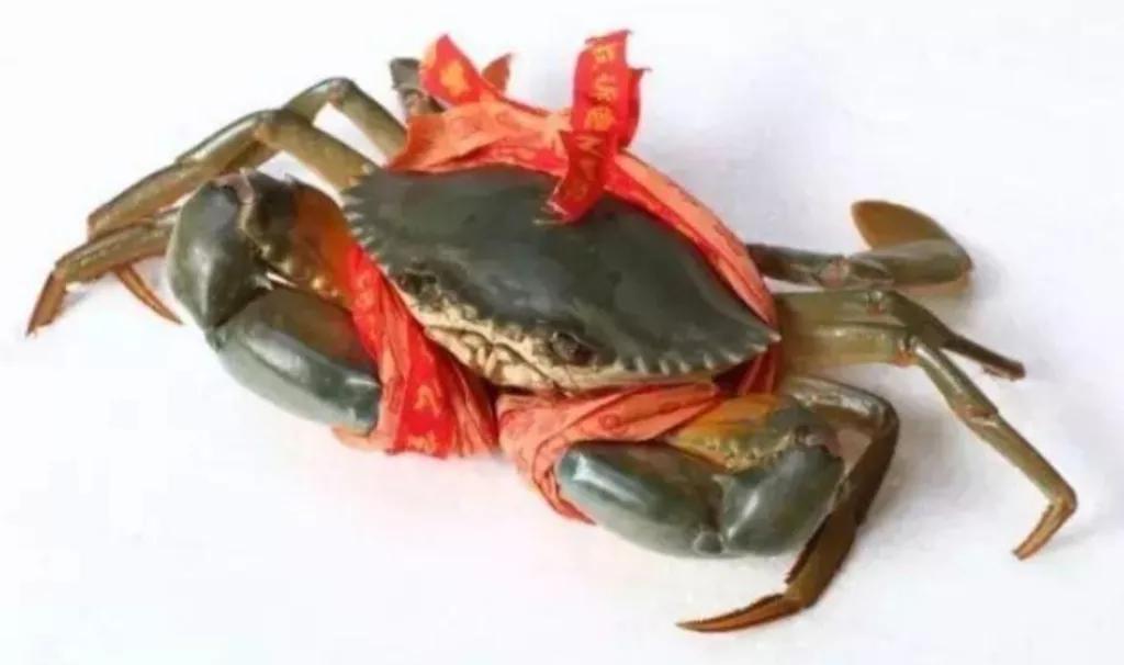 “百千桑梓地，亿万老家人”。浙江省—台州市—三门县