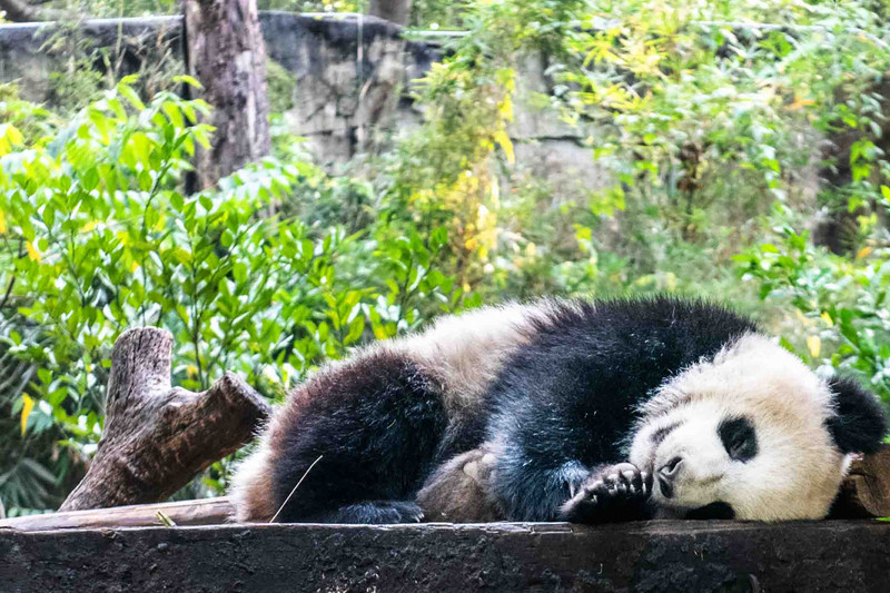 寒假亲子游推荐广东,广东自驾亲子游十大排名