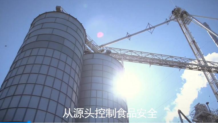 枫趣盛宴九种肉猫粮测评,加拿大枫趣宠粮怎么样