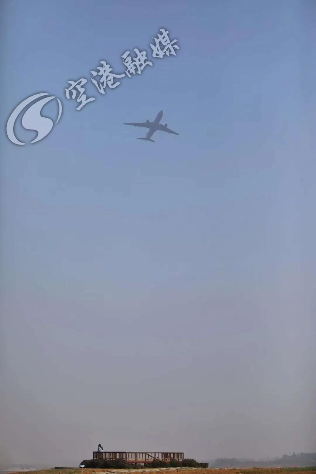 空港花田今天收门票吗,空港花田19.9门票