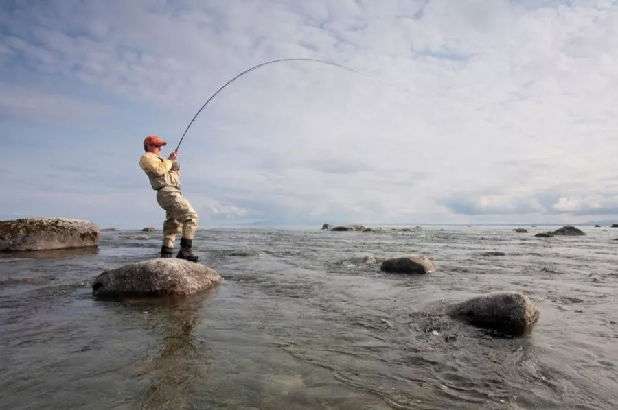一招搞定爆护技巧,怎么才能让自己爆护