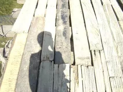 魏思孝：一份“非正常死亡”青年作家调查报告