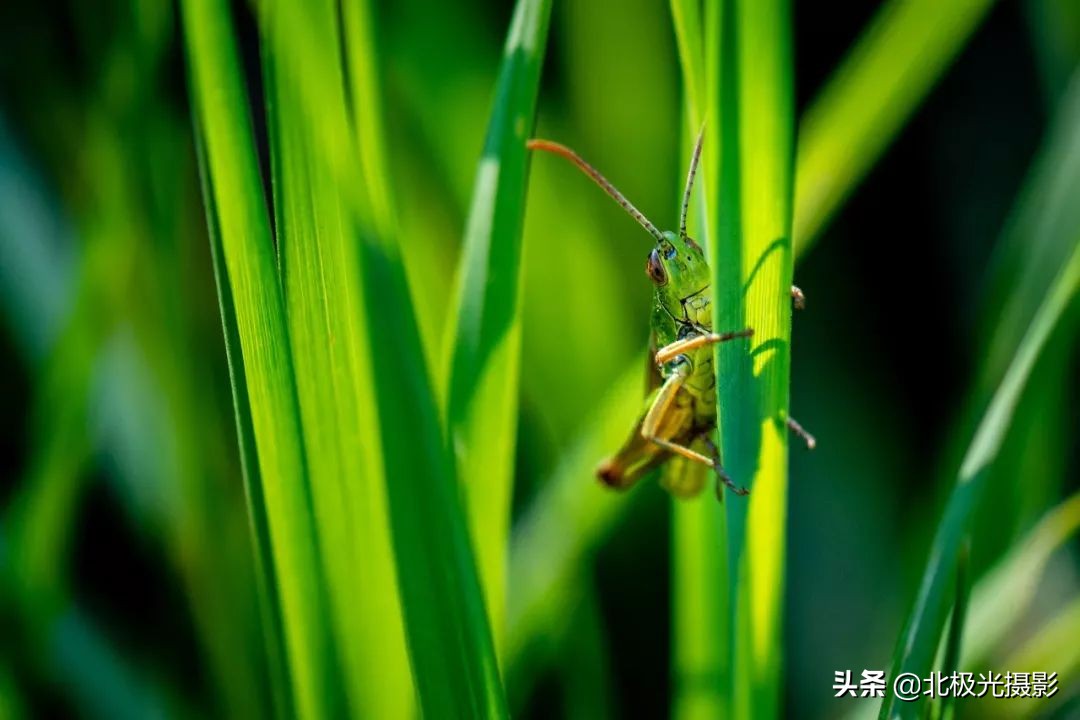 手机摄影的八大功能,手机摄影的几种功能