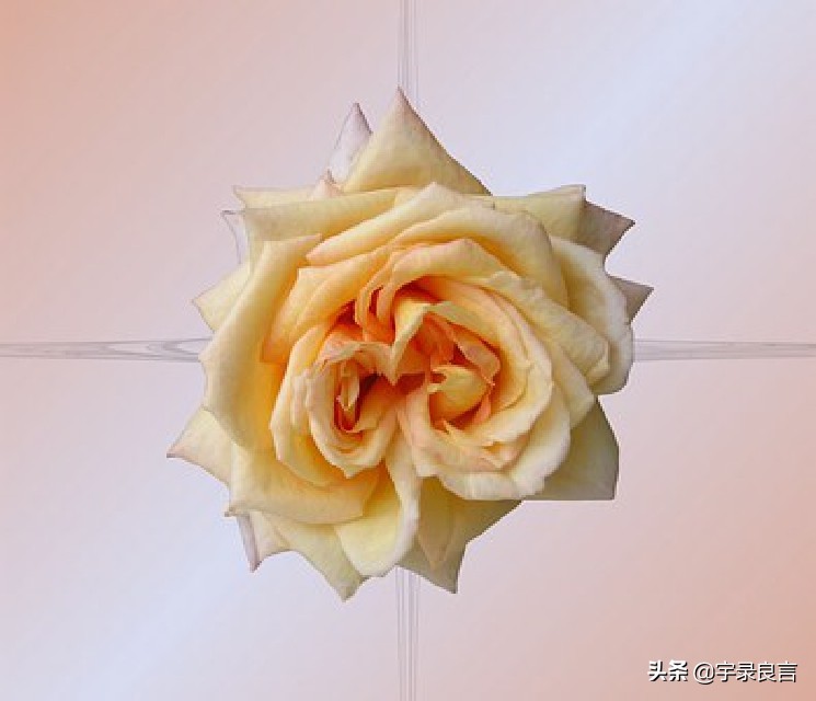 有深度有品位的短句子发朋友圈,有深度有品味的句子适合朋友圈