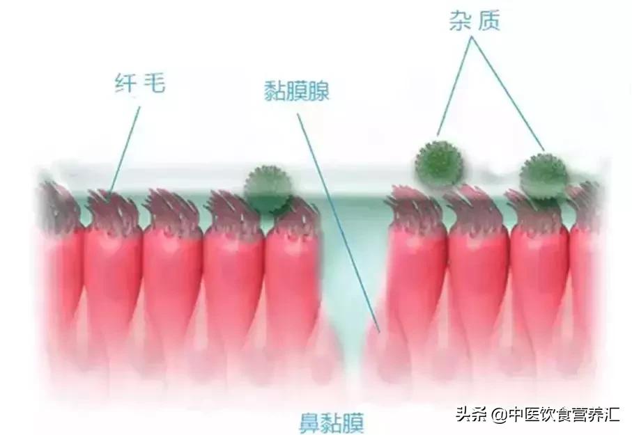 慢性鼻炎长期鼻腔冲洗,鼻炎洗鼻腔能有多脏