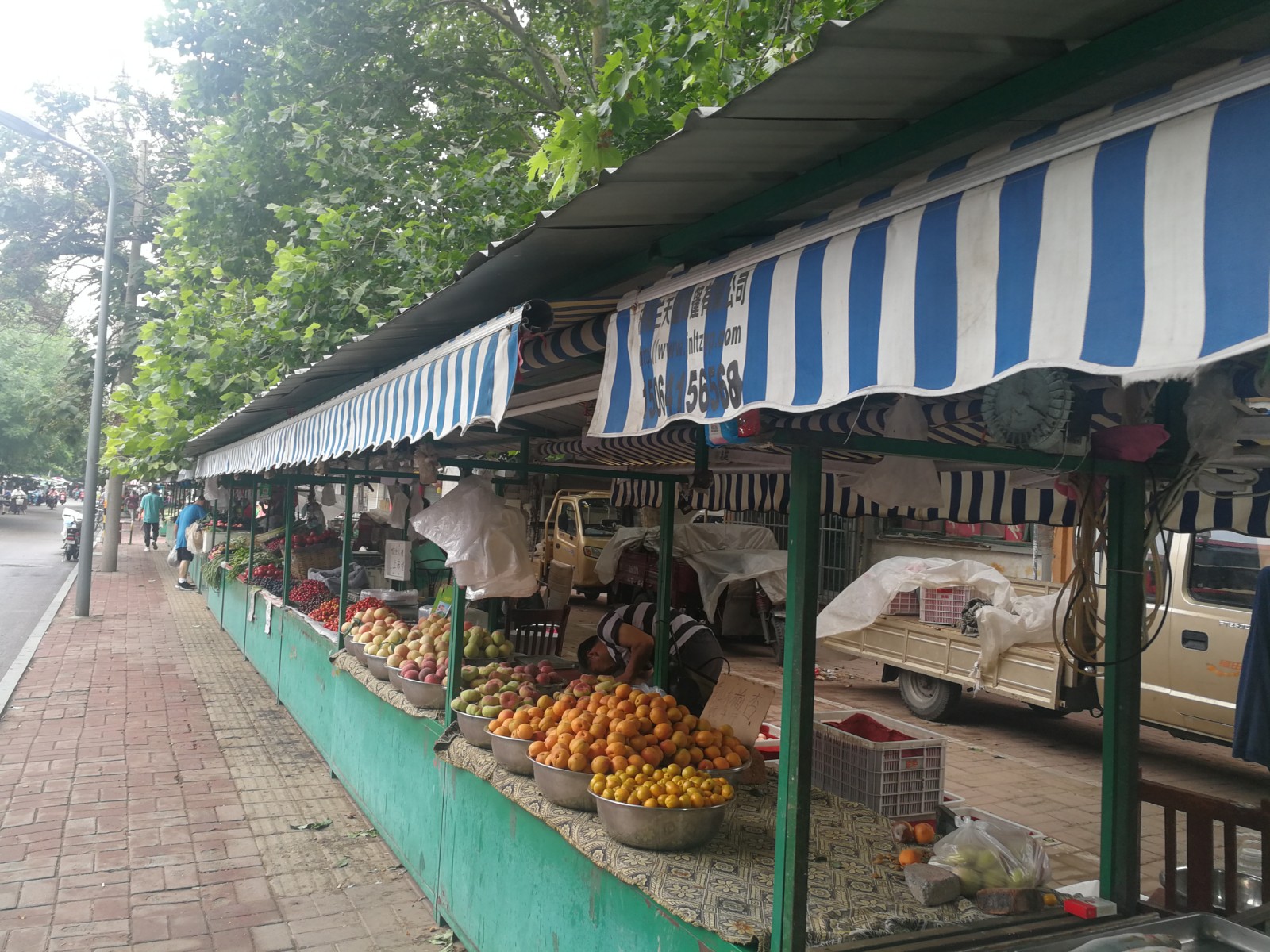 禁塑令落地最新政策,禁塑令已在多个城市试点