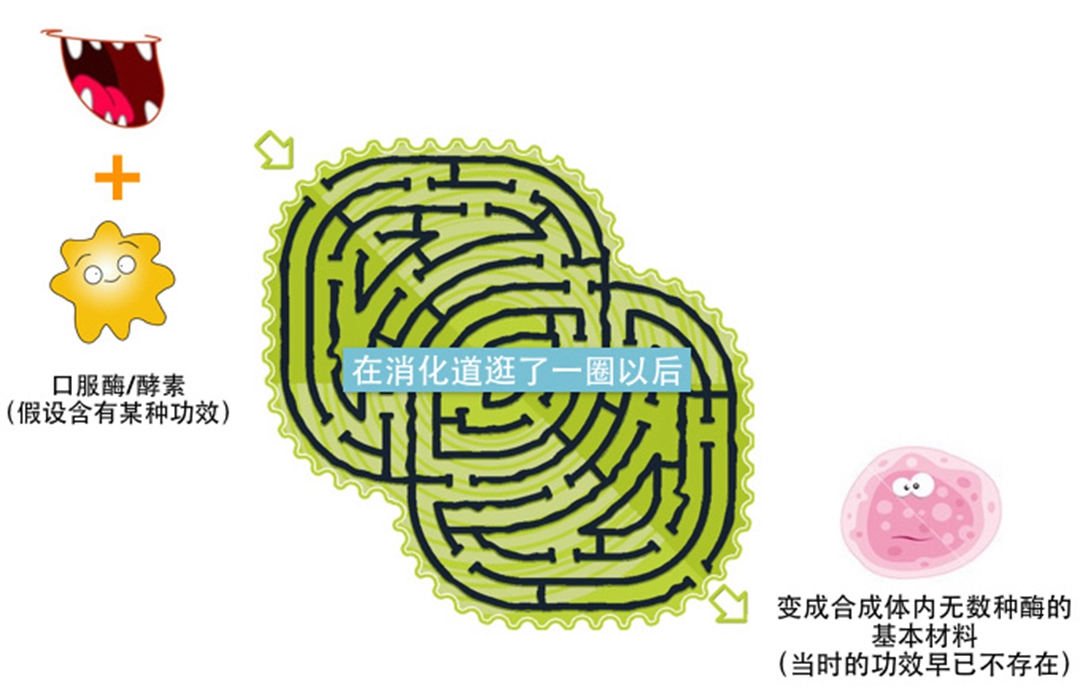 水果酵素真的能减肥吗,酵素真的能减肥吗瘦身专家告诉你