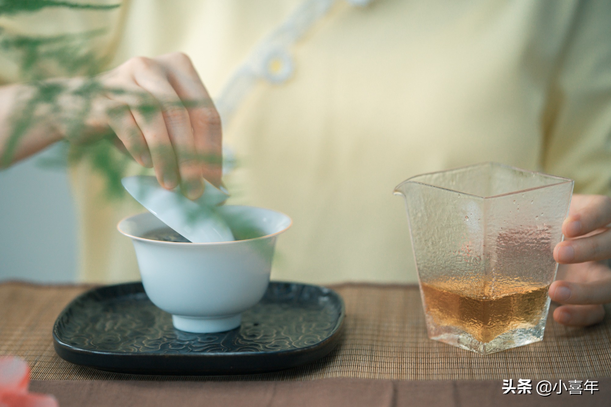 熟普茶可以养胃吗,熟普和红茶哪个养胃