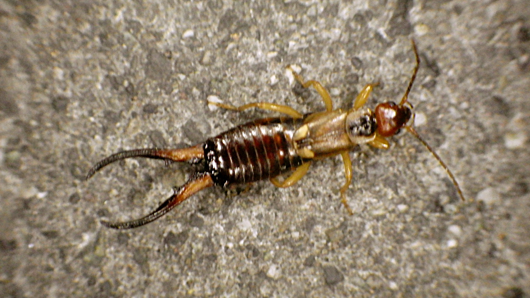 读书笔记摘抄有近义词反义词,读书笔记历史故事好词好句