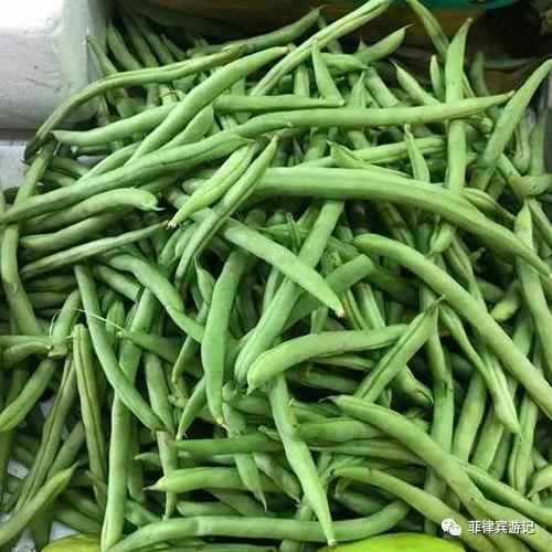 菲律宾青菜价格表,菲律宾蔬菜为什么那么贵