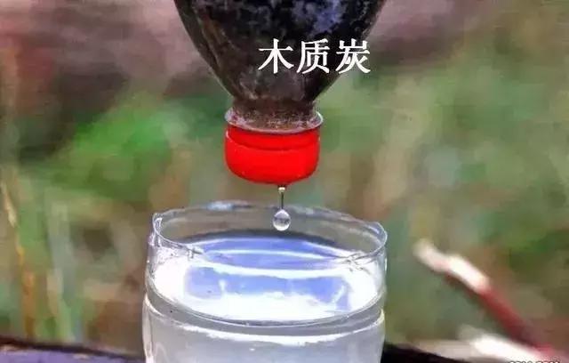 野外生存小技巧怎么过滤水,野外生存取水的正确方法