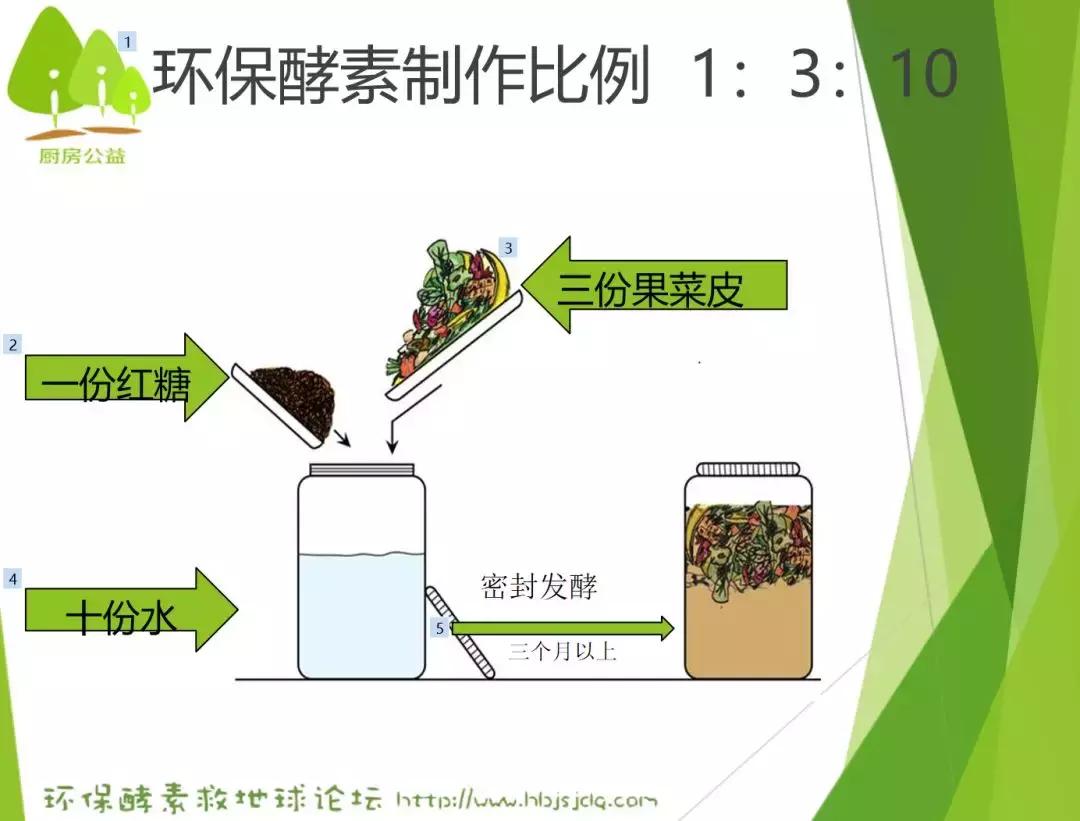 南通有位达人，7年来，果皮菜叶从未丢出门
