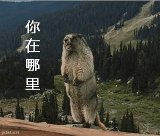 天府新区私立小学招生简章,天府新区第六小学对应初中