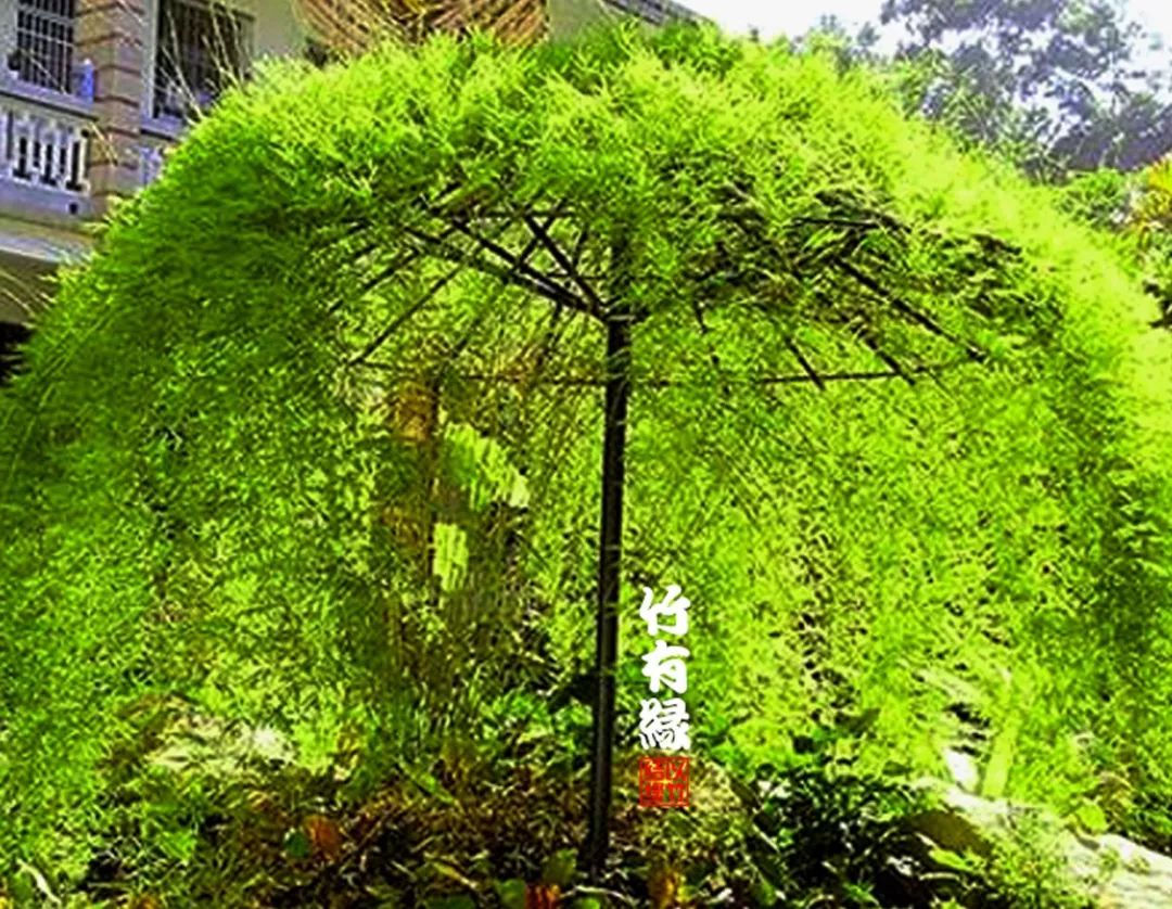 冬天来了你家备暖气片了吗,冬天来了你家棉拖准备好了吗