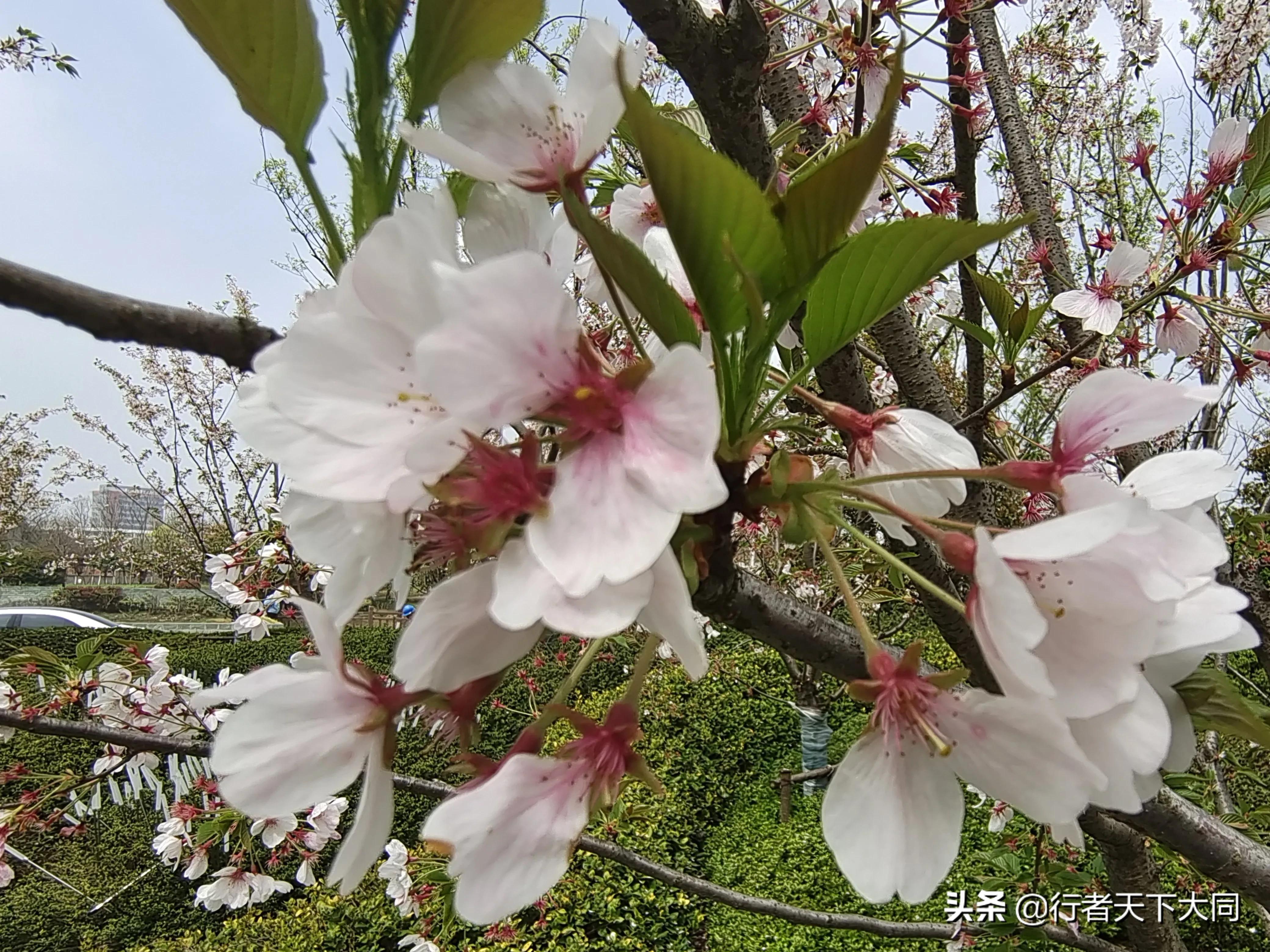 典故大全及解释,增损二将典故