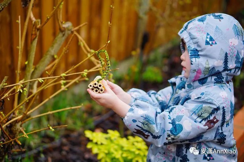 有哪些早教游戏,早教机构早教游戏