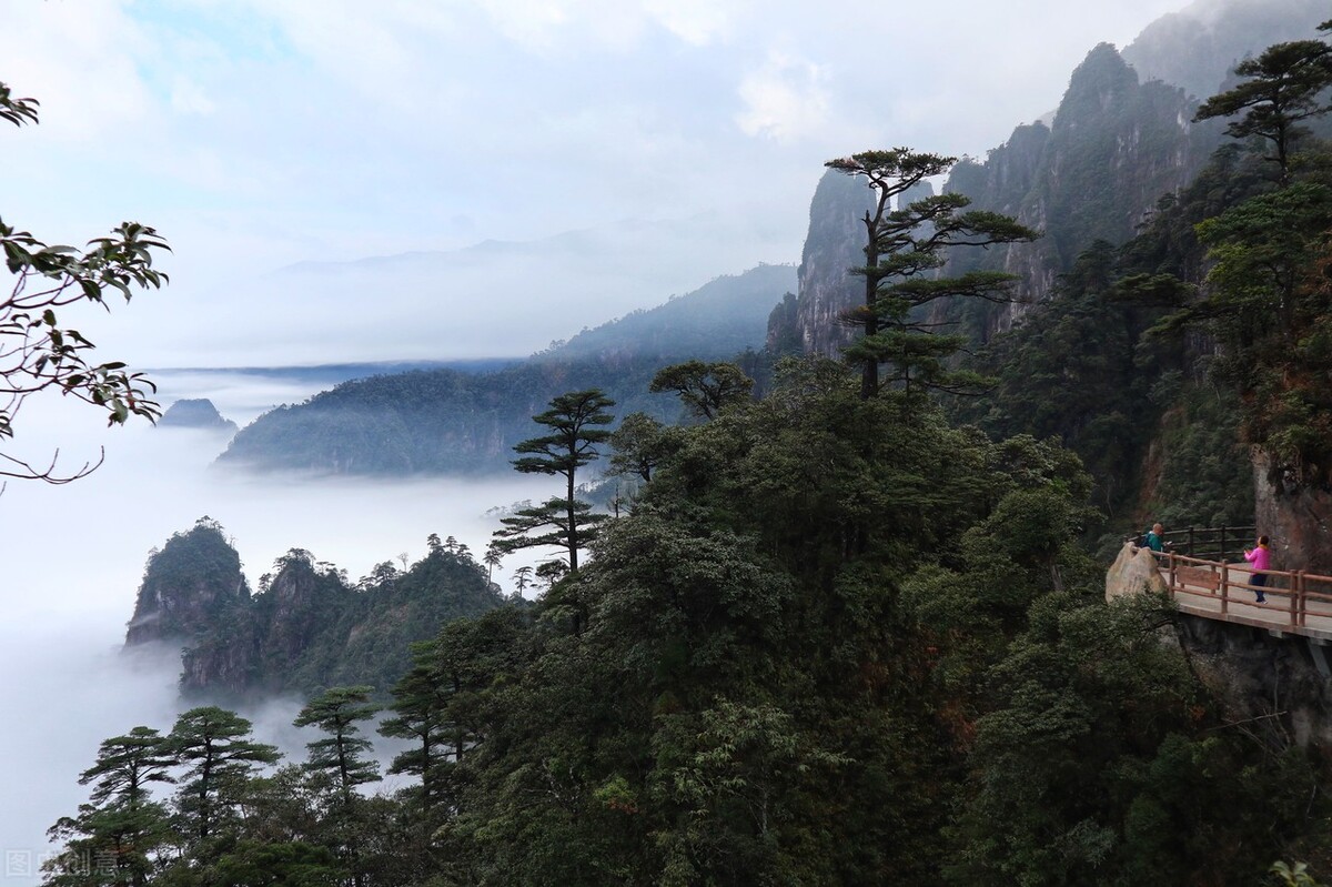 广州至莽山国家森林公园旅游攻略,莽山国家森林公园自驾游一天攻略