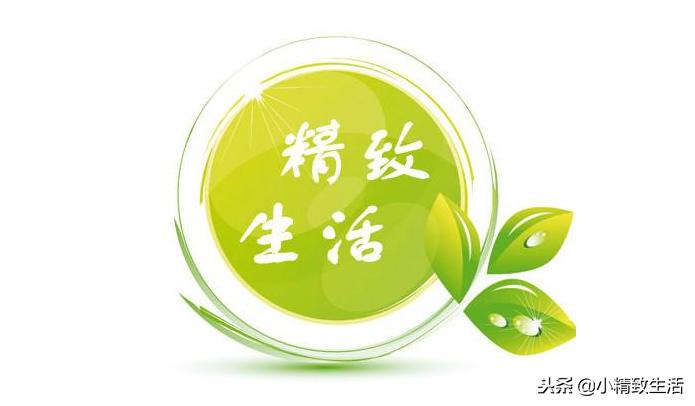 买来的植物没有根,买回多肉没根