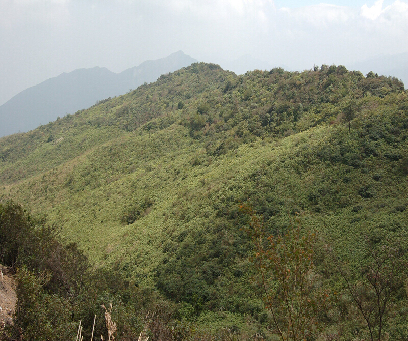 宁江工厂,宁江兵工厂