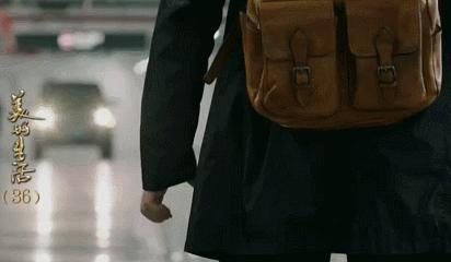 李小冉张嘉译主演的电视剧有哪些,张嘉译李小冉的新剧