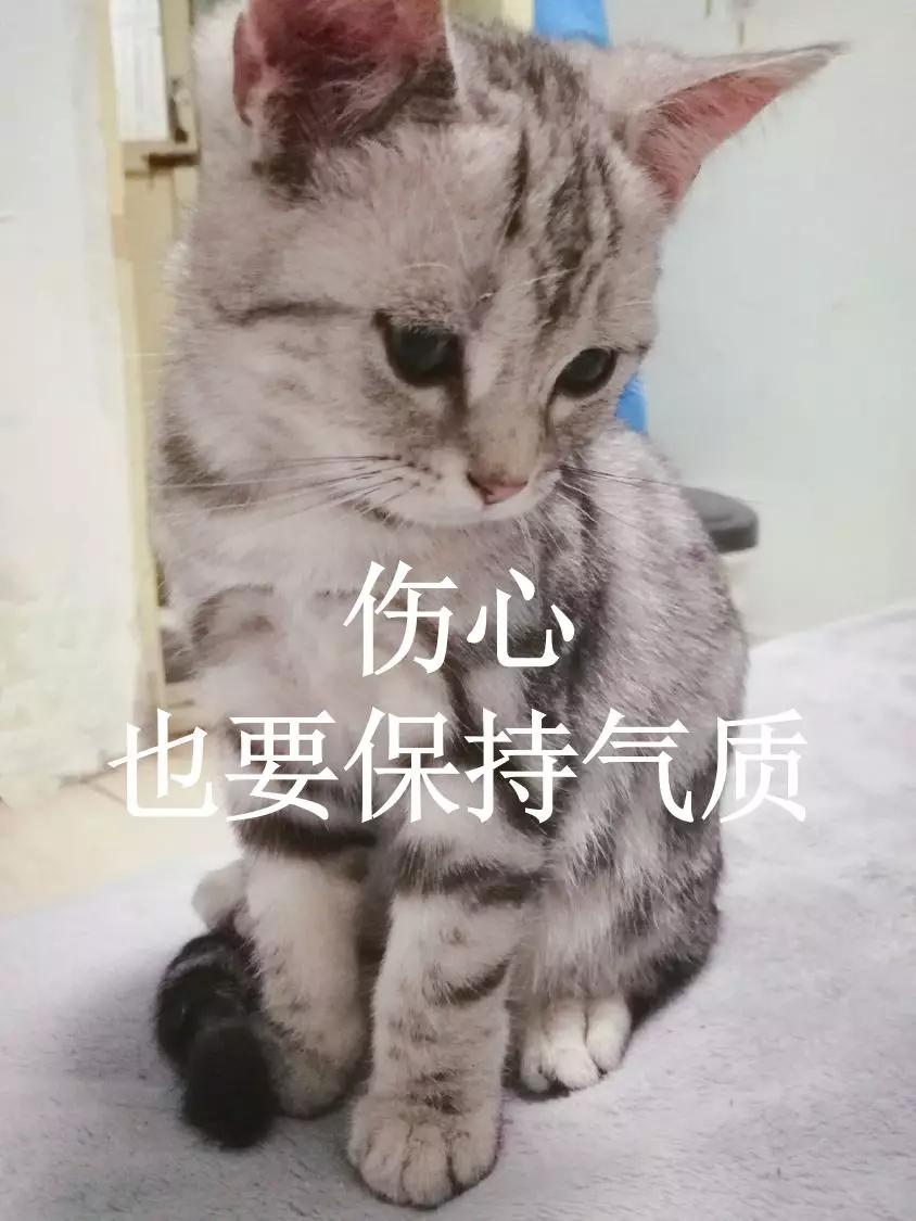 被前夫威胁殴打怎么办,前夫威胁恐吓殴打我怎么办