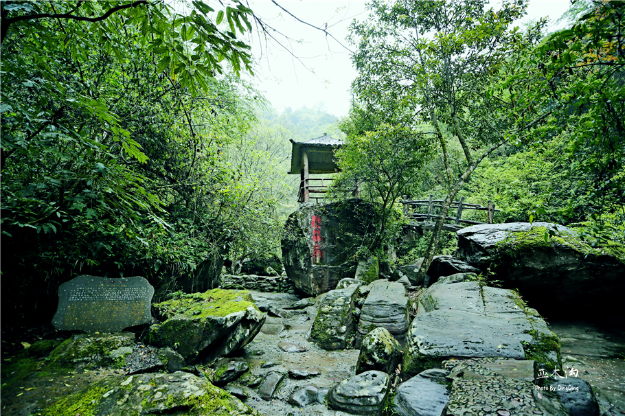 神奇的梵净山真正的天空之镜,梵净山金顶旅行真实感受